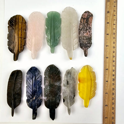 Crystal Feather - You Choose all variants with ruler for size reference