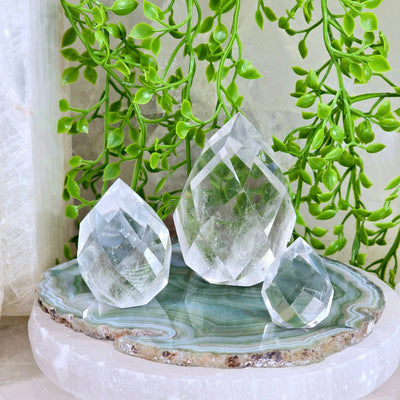 Crystal Quartz Faceted Egg Point - By Weight all weight variants on green agate slice with plants in background