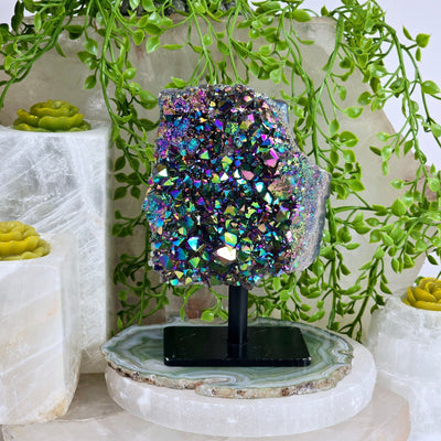 Titanium Coated Amethyst Cluster on Stand with plants and props in the background