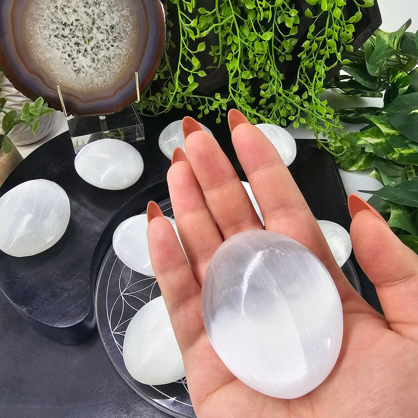 Selenite Crystal Palm Stones - one selenite palm stone in hand with other palm stones in dark background with props and plants