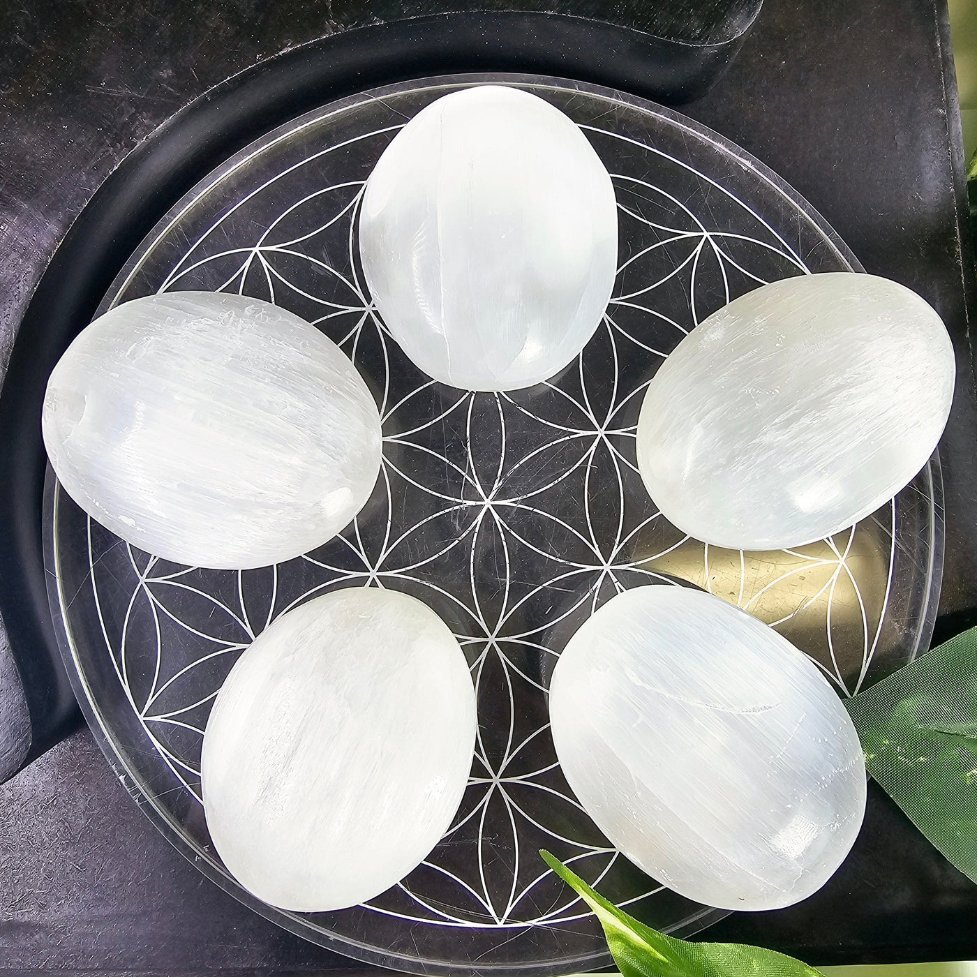 Selenite Crystal Palm Stones - 5 selenite palm stones on flower of life dish on black background with leaves in corner