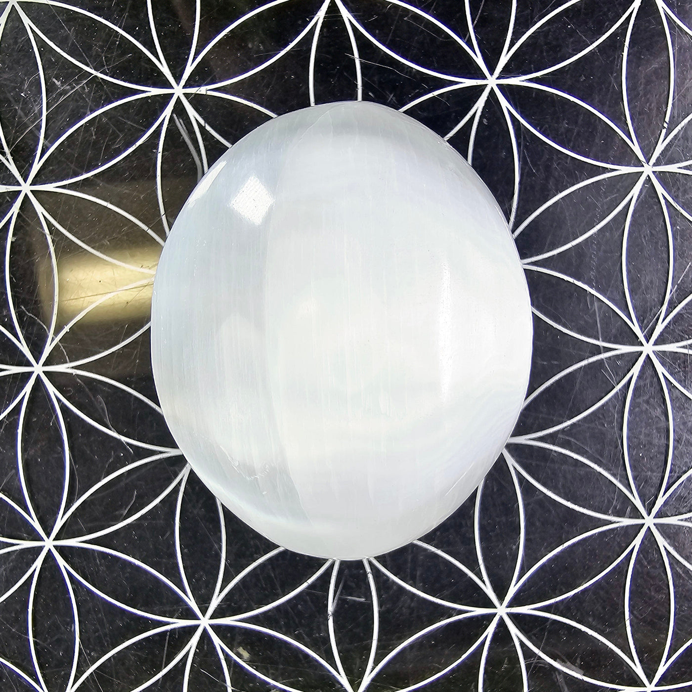 Selenite Crystal Palm Stones - one palm stone on flower of life acrylic dish on black background