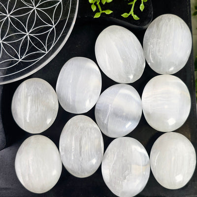 Selenite Crystal Palm Stones 10 palm stones on black background with flower of life dish and plants in corner