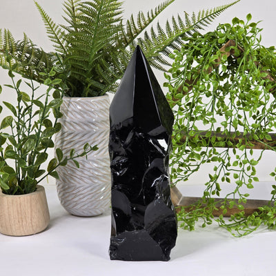 Black Obsidian Semi Polished Point 1 front view with plants and props in background