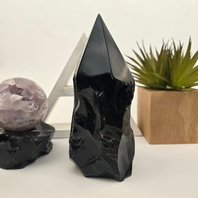 Black Obsidian Semi Polished Point 2 front view with props and plant in the background