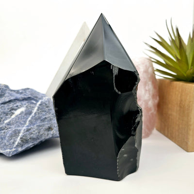 Black Obsidian Semi Polished Point - As Is front view with props and plant in the background