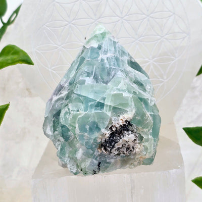 Fluorite Semi Polished Point - One-of-a-Kind side view