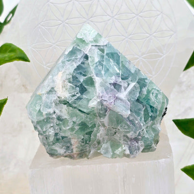 Fluorite Semi Polished Point - One-of-a-Kind front view