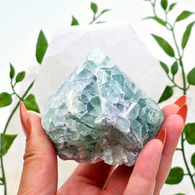 Fluorite Semi Polished Point - One-of-a-Kind in hand for size reference with props and plants in the background