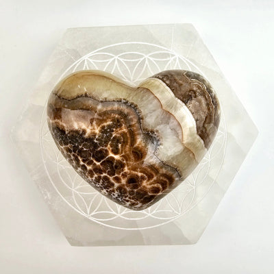 Mexican Onyx Heart 2 back view on flower of life coaster