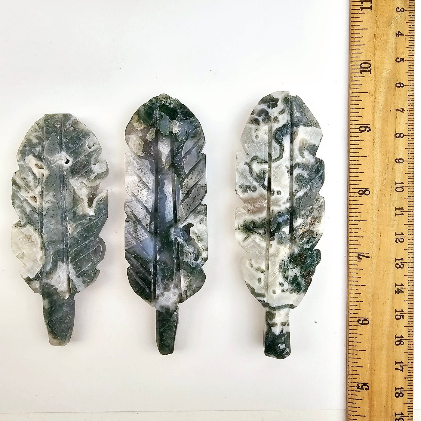 Moss Agate Feather - You Choose all variants with ruler for size reference