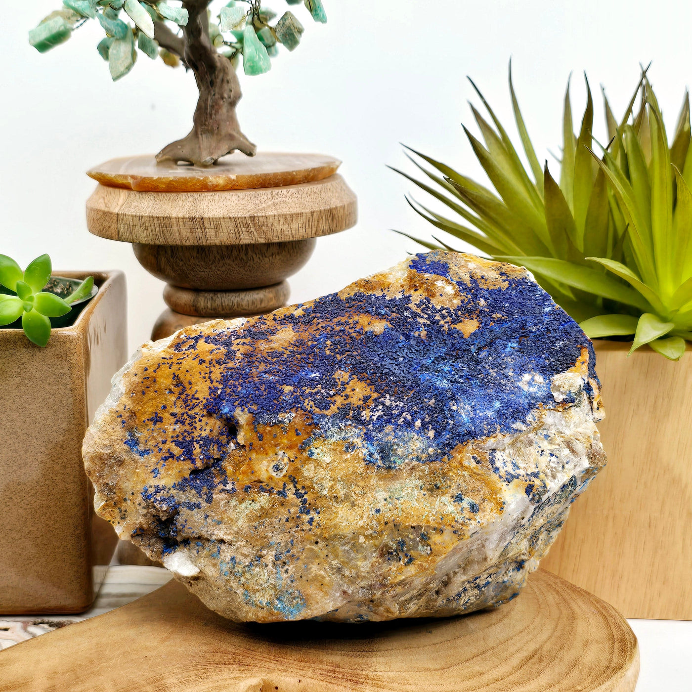 Azurite with Malachite on Matrix - One-of-a-Kind front view with props in background