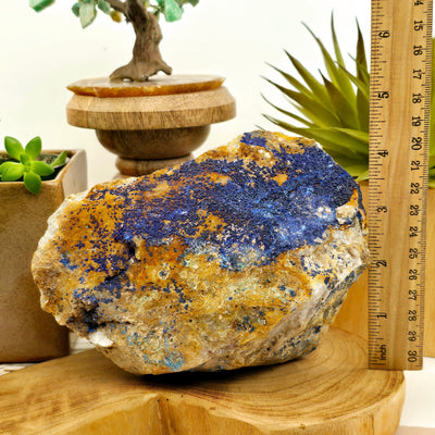 Azurite with Malachite on Matrix - One-of-a-Kind with ruler for size reference