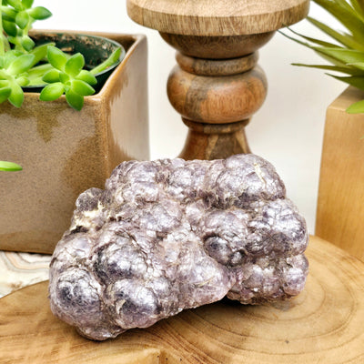 Botryoidal Lepidolite #1 front view with props and plants in the background