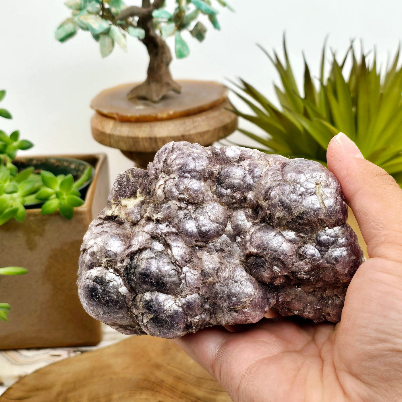 Botryoidal Lepidolite #1 in hand for size reference with props and plants in the background