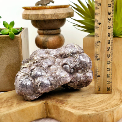 Botryoidal Lepidolite #1 front view with ruler for size reference