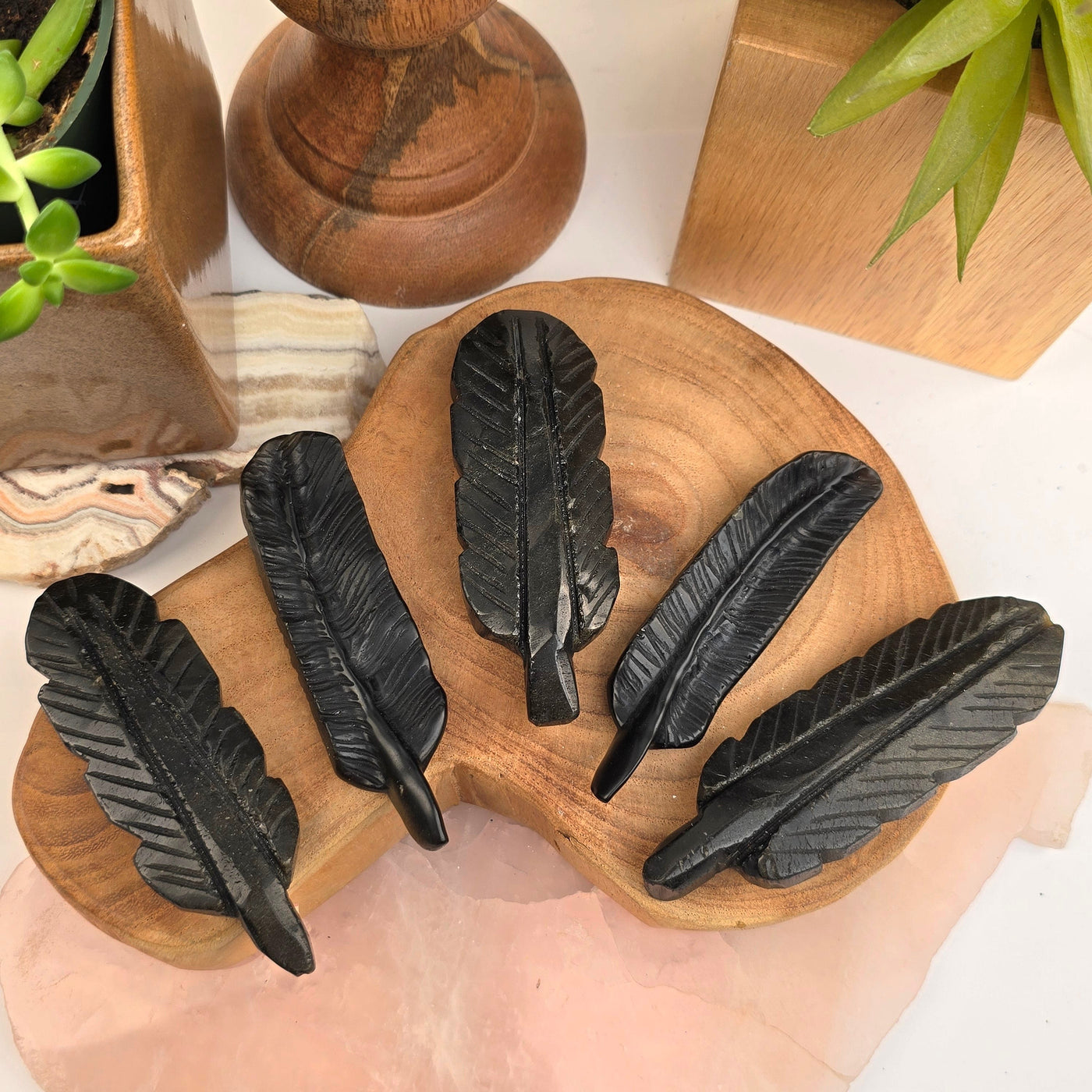 Gold Sheen Obsidian Feather - You Choose all feathers arranged on wooden platter with props in the background