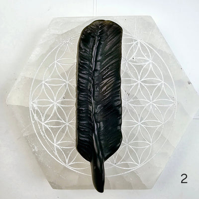 Gold Sheen Obsidian Feather - You Choose feather 2 labeled