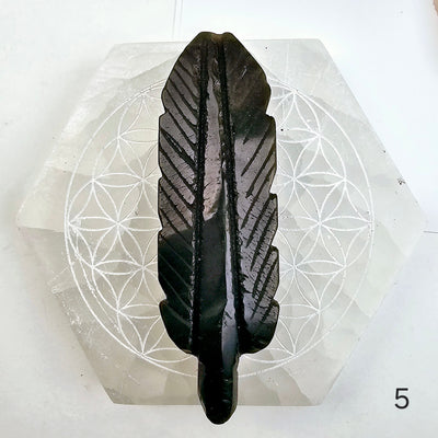 Gold Sheen Obsidian Feather - You Choose feather 5 labeled