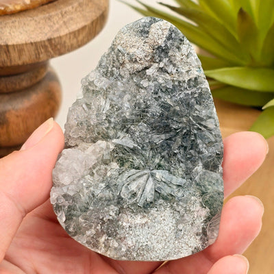 Chlorite Crystal Quartz Cluster #1 in hand for size reference with props in the background