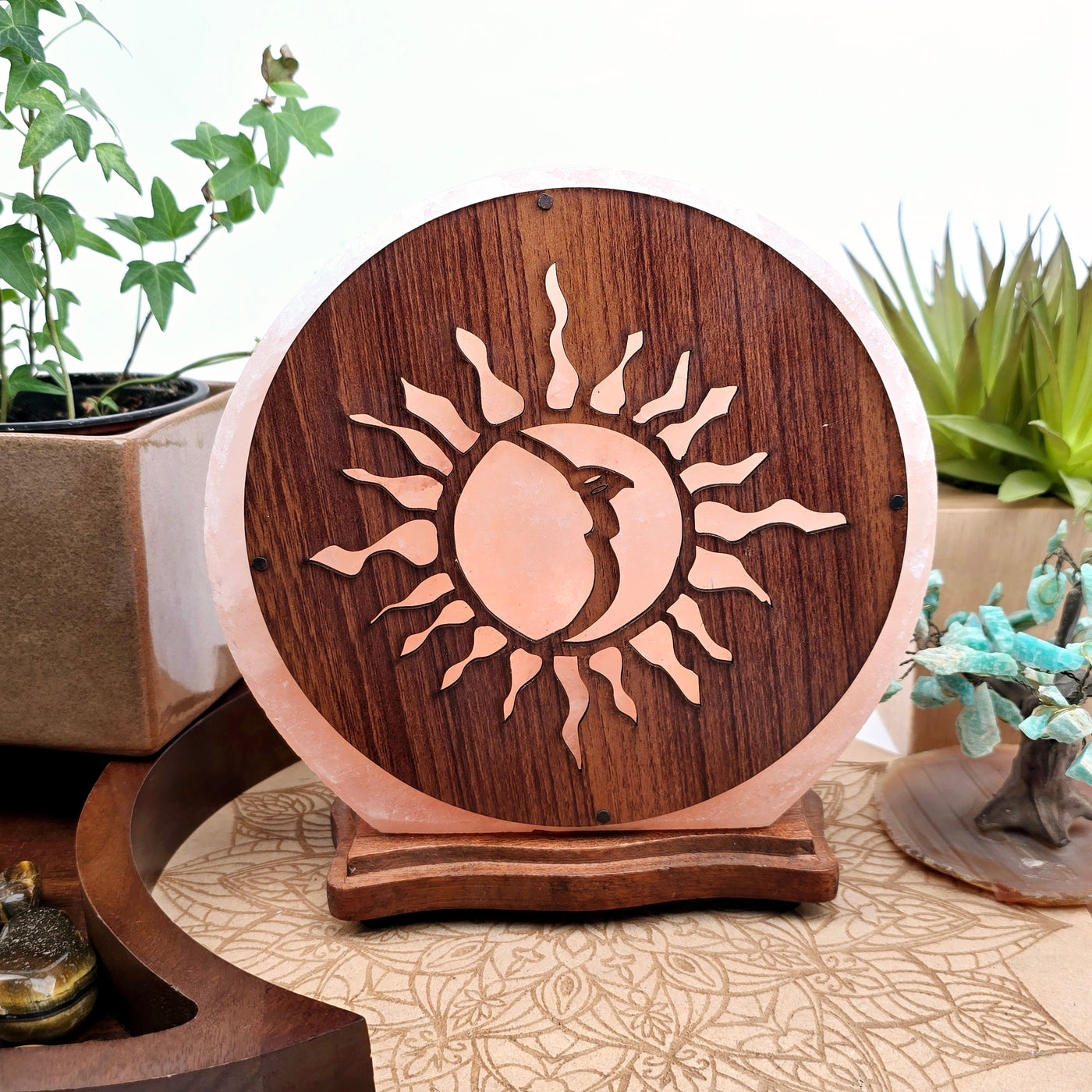 Large Sun and Moon Himalayan Salt Lamp - As Is lit with bright lighting with plants and props in the background