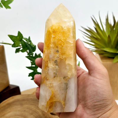 Golden Healer Polished Point #3 in hand for size reference with plants in the background