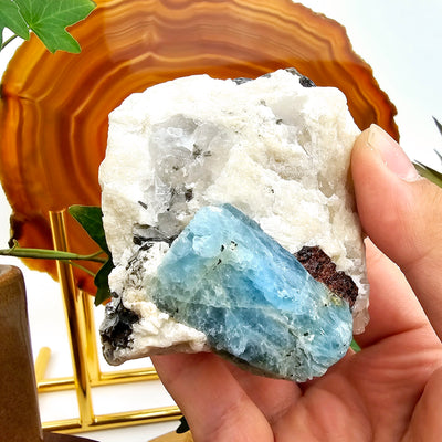 Aquamarine with Mica in Matrix #1 in hand for size reference with props and plants in the background