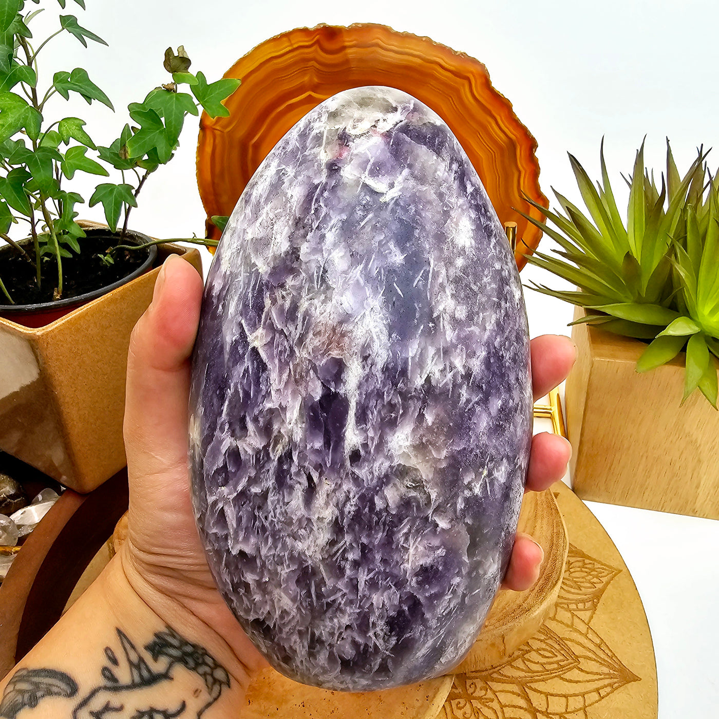 Lepidolite Cut Base #1 in hand for size reference with props and plants in the background