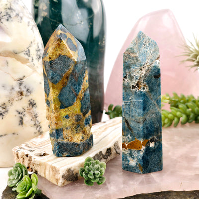 Apatite on Lions Eye Jasper - Polished Crystal Points - You Choose both variants front view with props and plants in the background