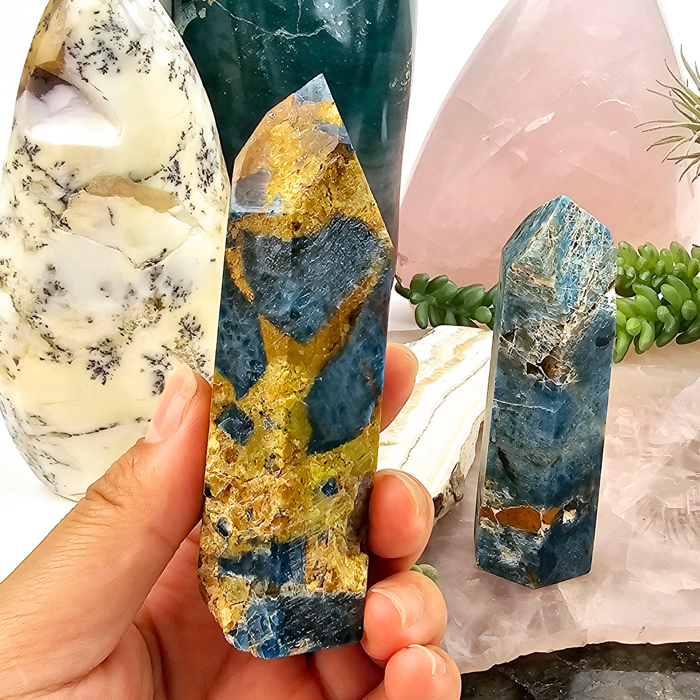 Apatite on Lions Eye Jasper - Polished Crystal Points - You Choose variant A in hand with variant B in background with props and plants in the background