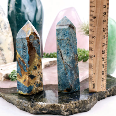 Apatite on Lions Eye Jasper - Polished Crystal Points - You Choose both variants with ruler for size reference back view