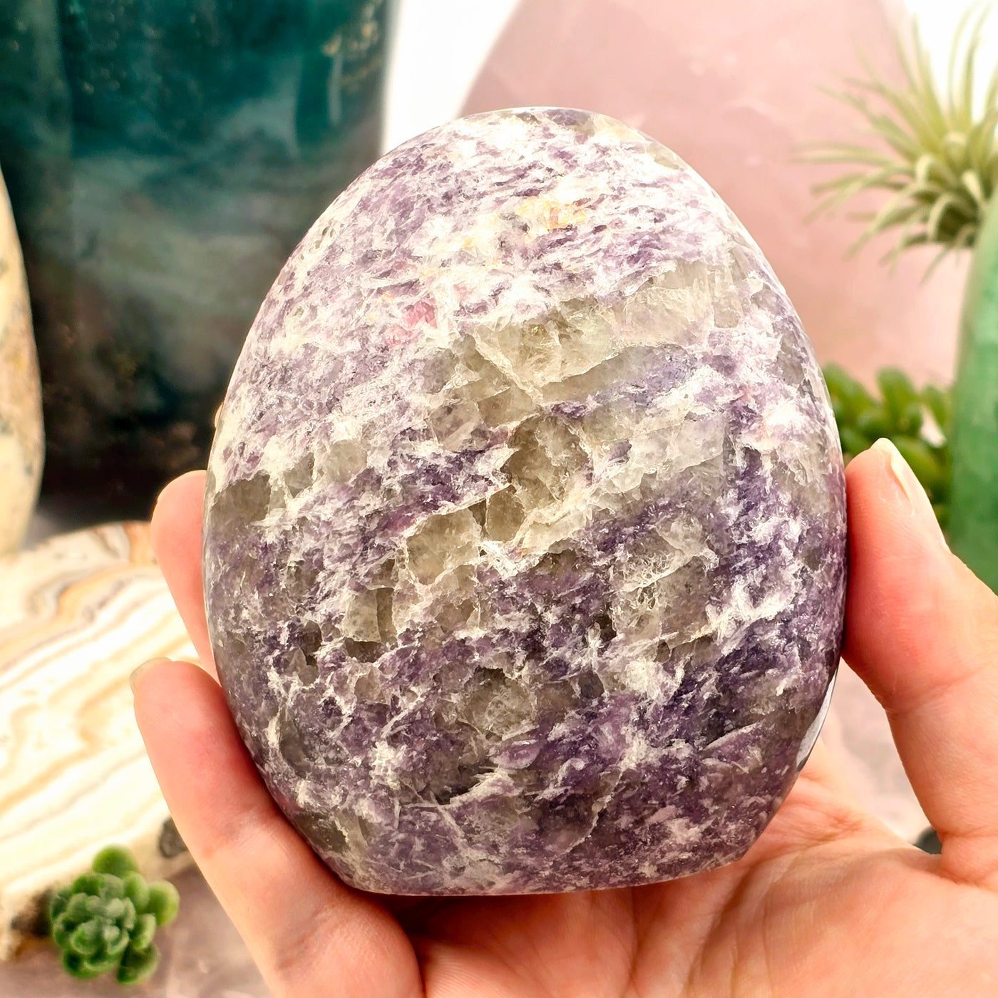 Lepidolite Cut Base #2 in hand for size reference with props and plants in the background