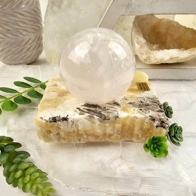 Mexican Onyx Crystal Sphere Holder - You Choose suggested use as sphere holder with plants and props in the background