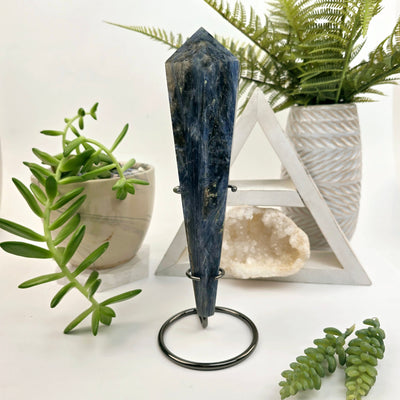 Blue Kyanite Crystal Wand on Stand #1 front view with props and plants in the background