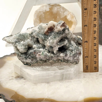 Chlorite Crystal Quartz Cluster #2 with ruler for size reference