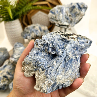 Blue Kyanite - Rough Crystal on Matrix - YOU CHOOSE variant 2 in hand for size reference with other variants in the background