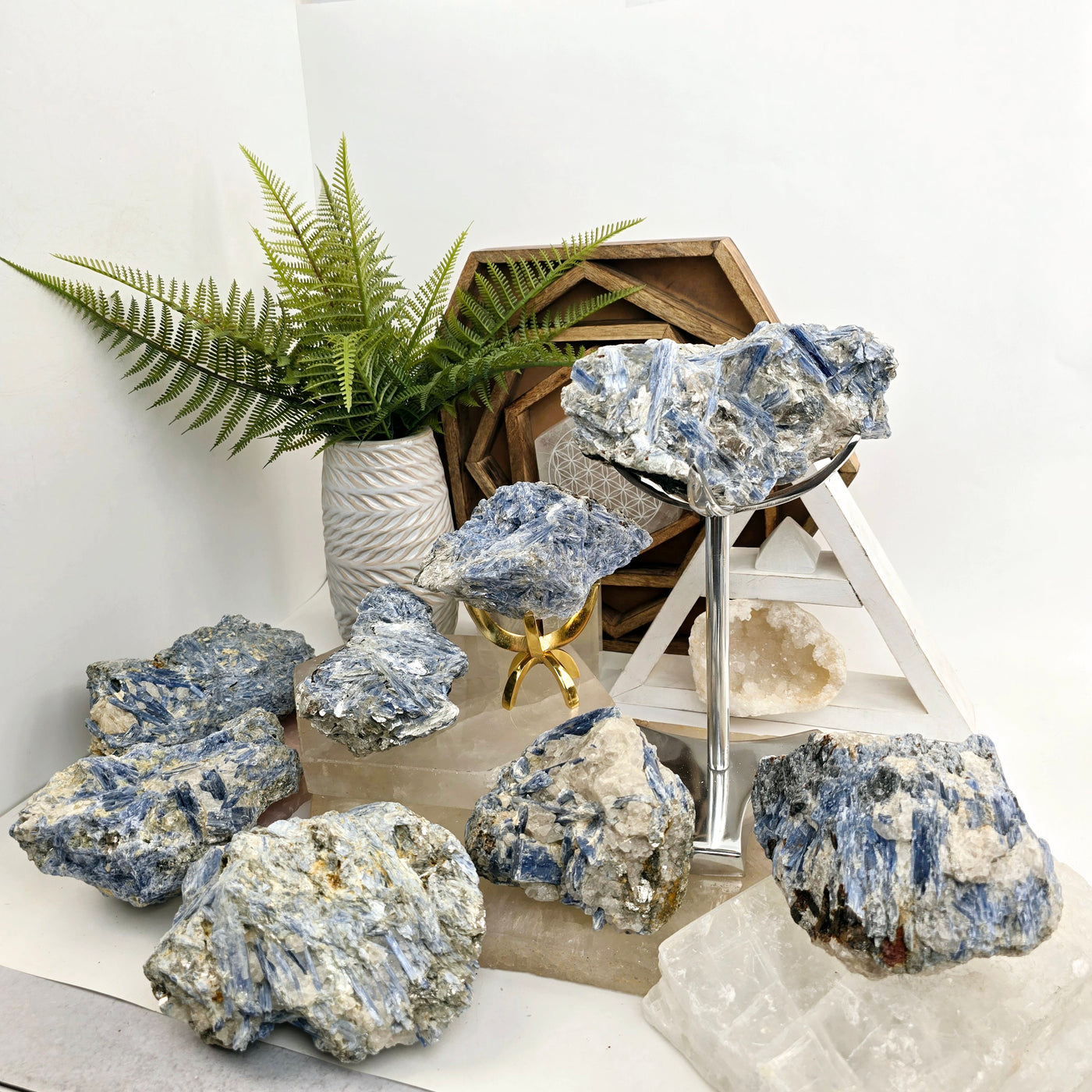 Blue Kyanite - Rough Crystal on Matrix - YOU CHOOSE all variants on crystal platters and stands with plants and props in the background