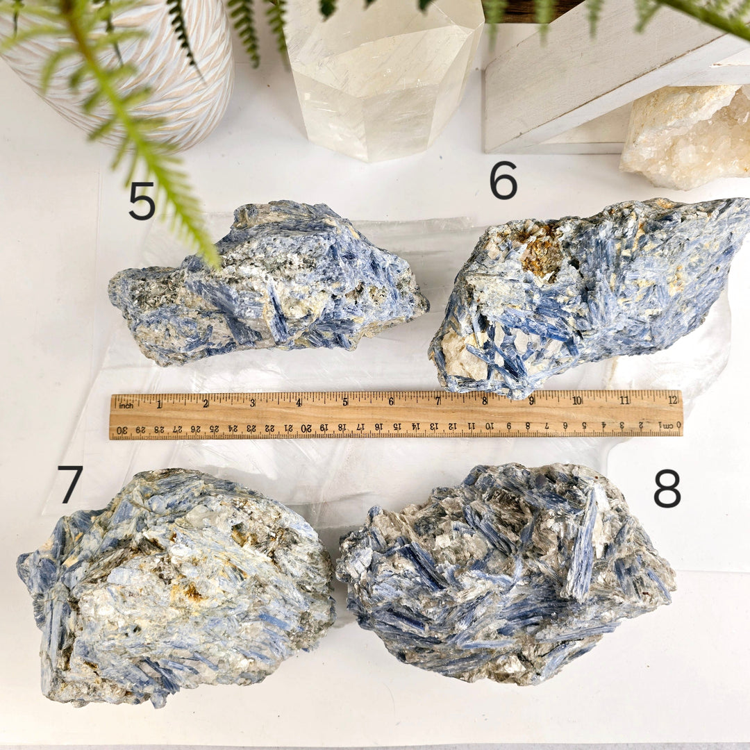 Blue Kyanite - Rough Crystal on Matrix - YOU CHOOSE – Rock Paradise