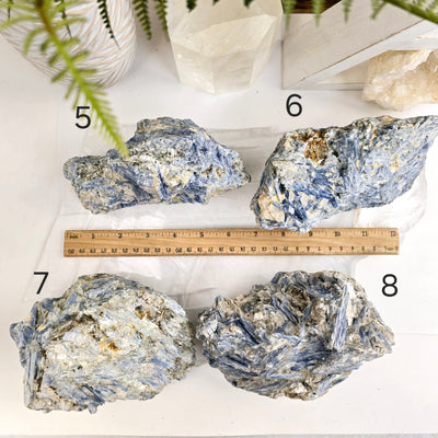 Blue Kyanite - Rough Crystal on Matrix - YOU CHOOSE variants 5 6 7 8 labeled with ruler for size reference