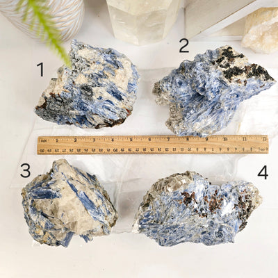 Blue Kyanite - Rough Crystal on Matrix - YOU CHOOSE variants 1 2 3 4 with ruler for size reference labeled