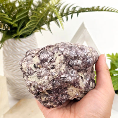 Botryoidal Lepidolite #2 in hand for size reference with props and plants in the background