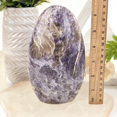 Lepidolite Cut Base #3 with ruler for size reference