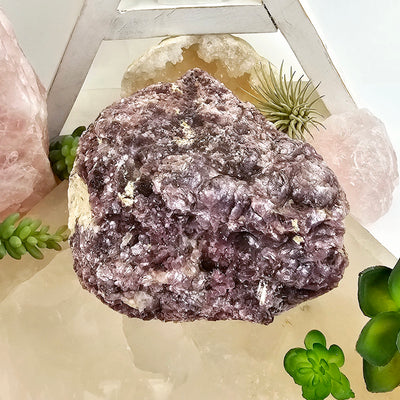 Botryoidal Lepidolite Crystal #3 front view with props and plants in the background