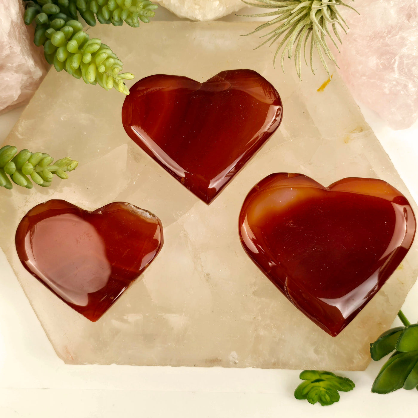 Carnelian Crystal Hearts - You Choose all three variants on quartz platter with plants surrounding them