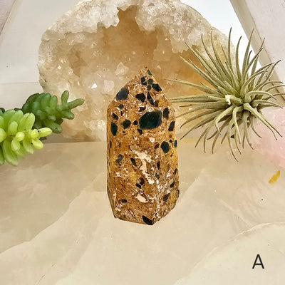 Leopard Skin Jasper with Apatite - Crystal Points - You Choose variant A labeled with props and plants in the background