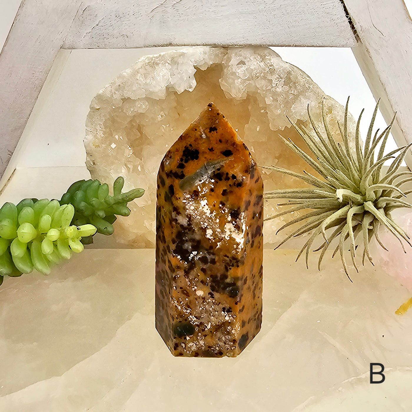 Leopard Skin Jasper with Apatite - Crystal Points - You Choose variant B labeled with props and plants in the background