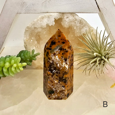 Leopard Skin Jasper with Apatite - Crystal Points - You Choose variant B labeled with props and plants in the background