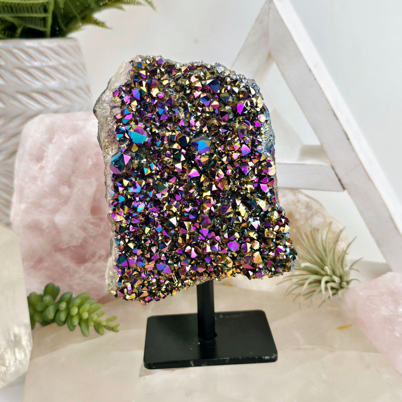 Titanium Coated Amethyst Crystal Cluster on Stand 4 front view with props and plants in the background