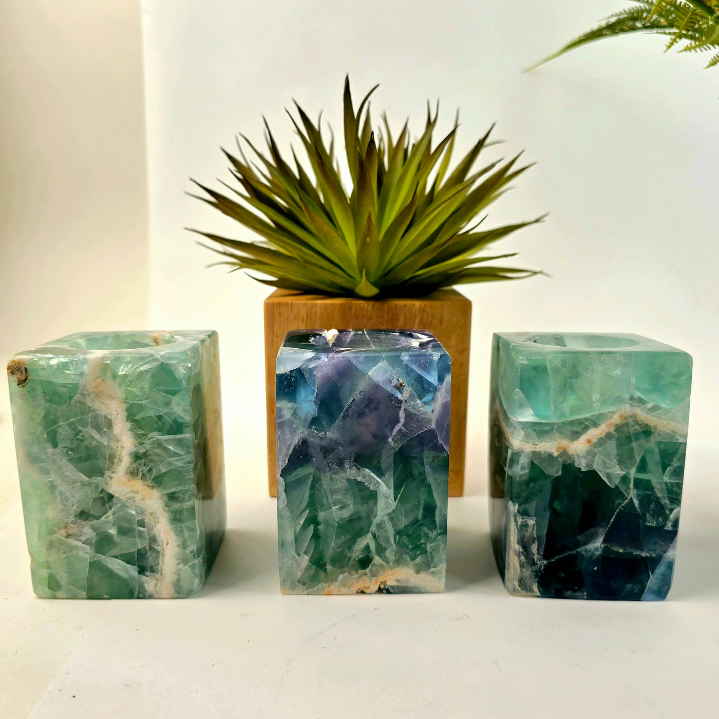 Fluorite Crystal Candle Holder - AA Grade three candleholders in front of plant