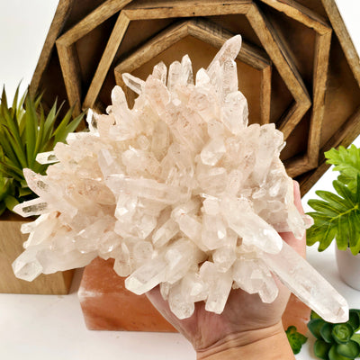 Lemurian Tangerine Quartz - High Grade Crystal Cluster - One-of-a-Kind - in hand for size reference